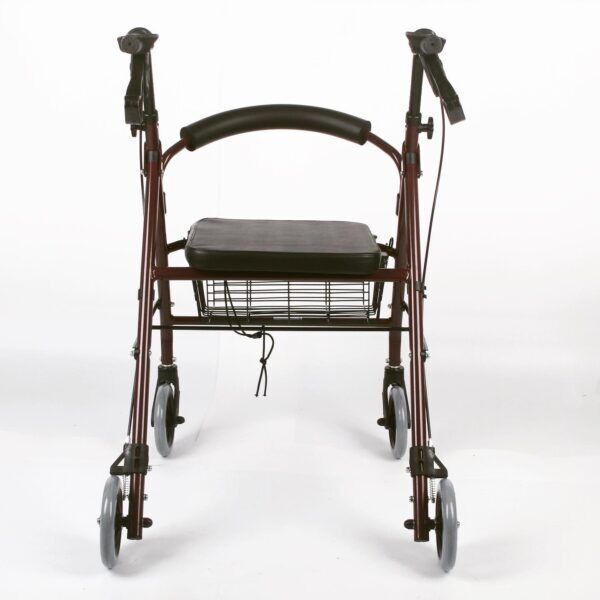 Freely Manuel Walker Özelliklikli Rollatör